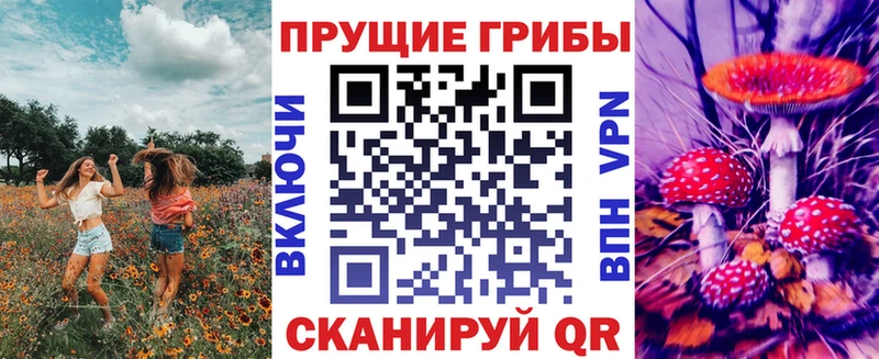Псилоцибиновые грибы ЛСД  Котельники 